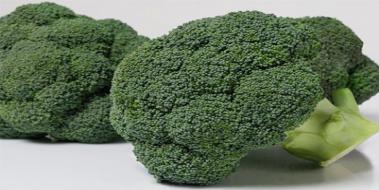 Brokoli eitleri
